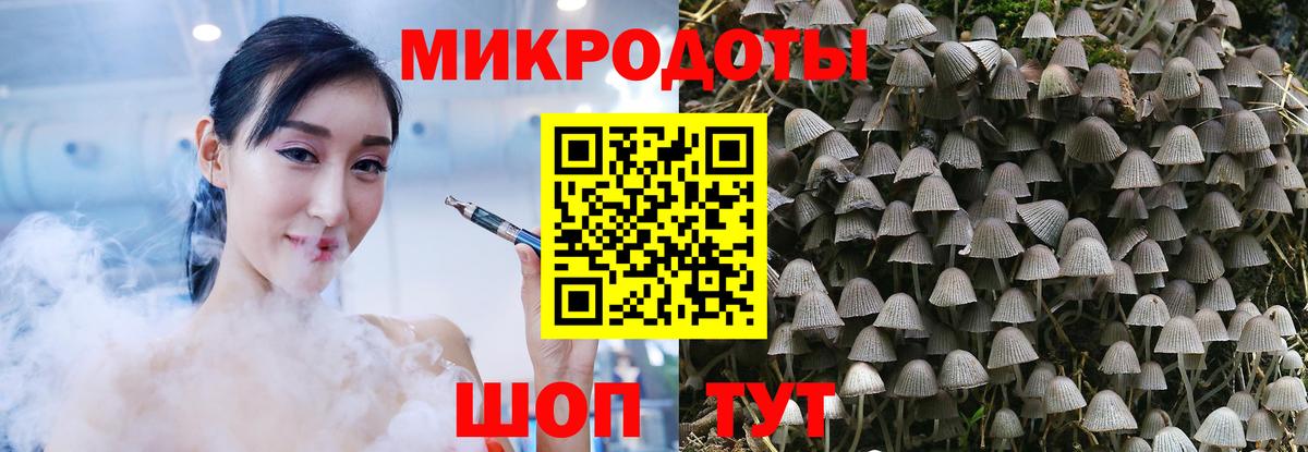 закладки  Вход с VPN  Курчалой  Псилоцибиновые грибы Magic Shrooms 